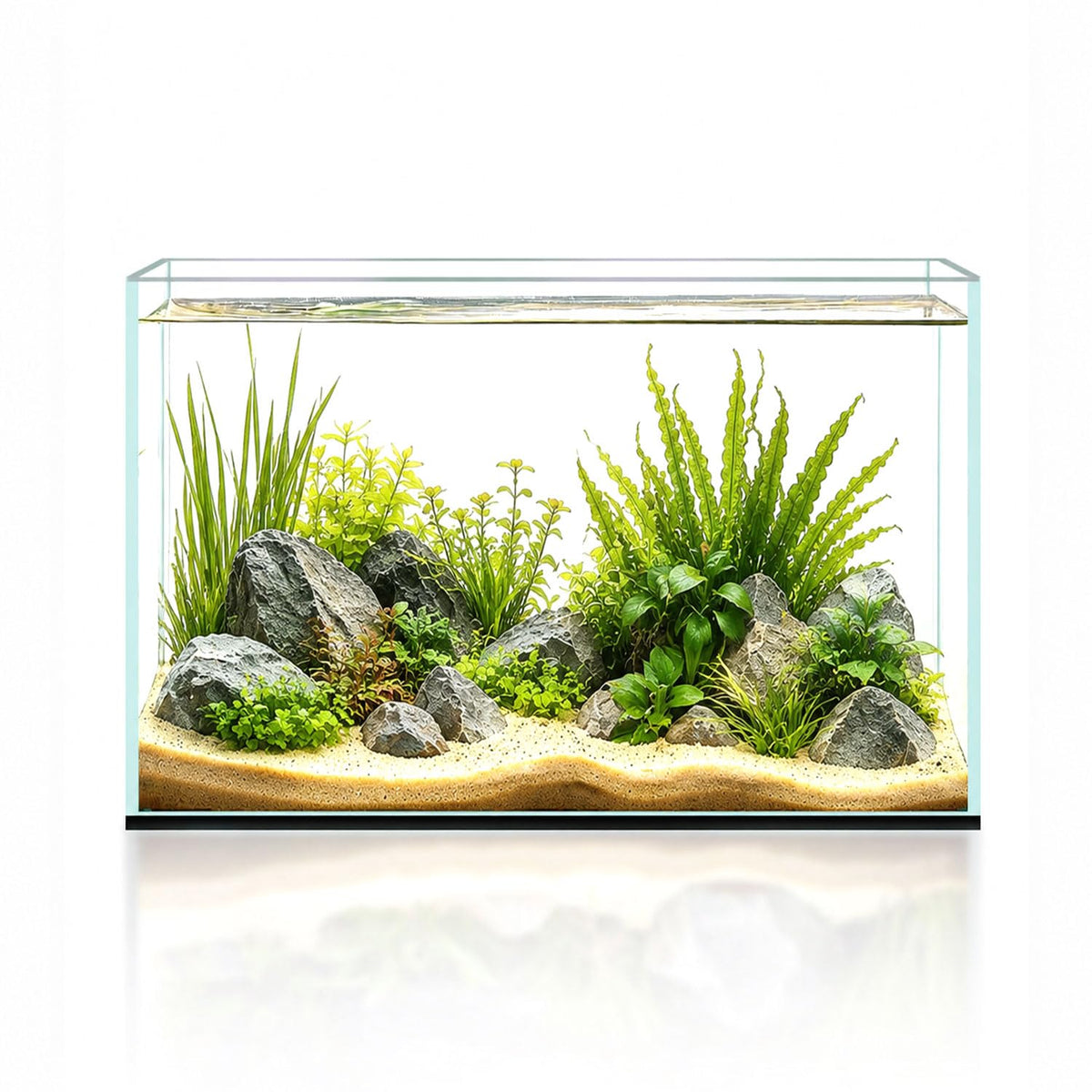 minilake Vivarium in 5 Gallon, Transparent