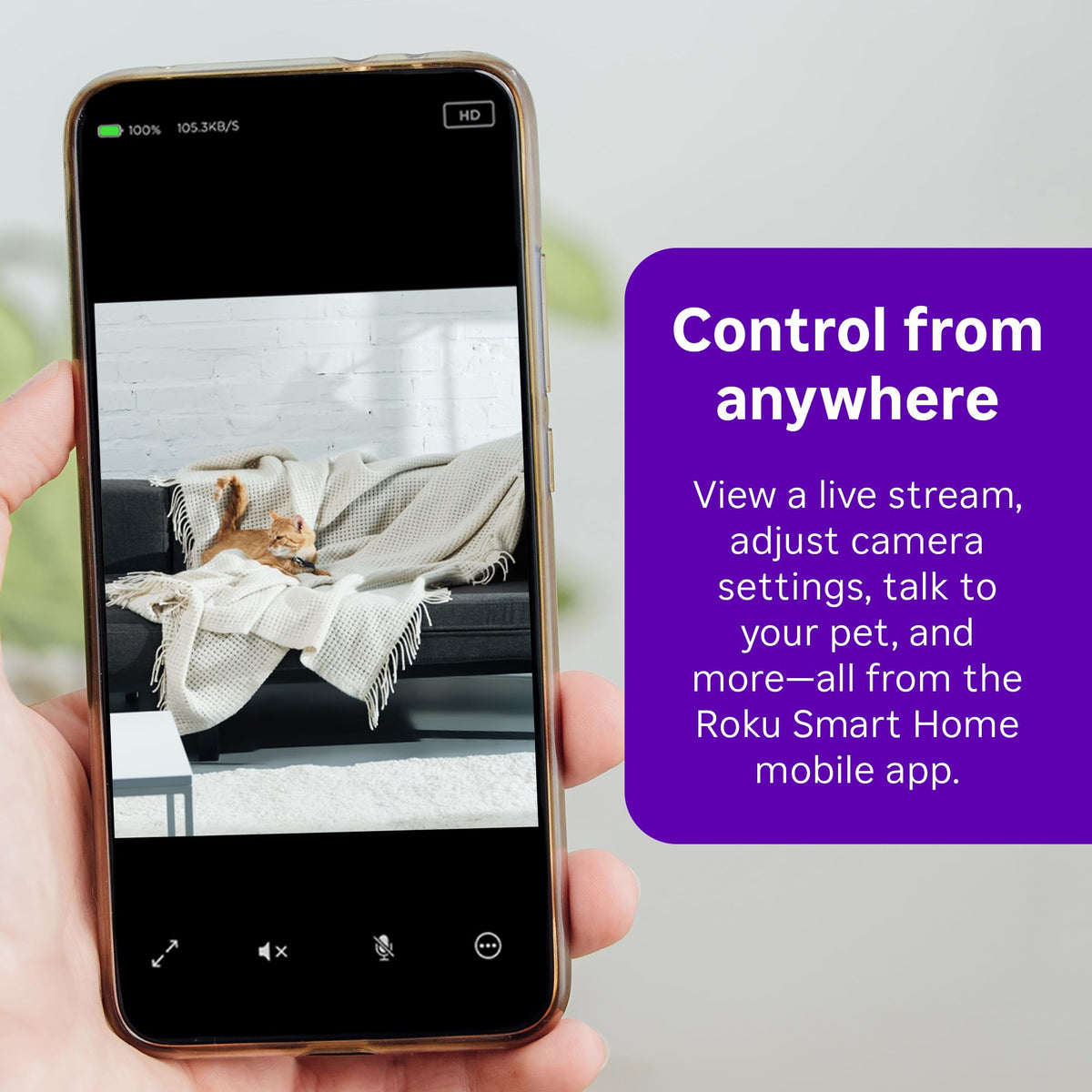Roku Security Camera in 1 Pack