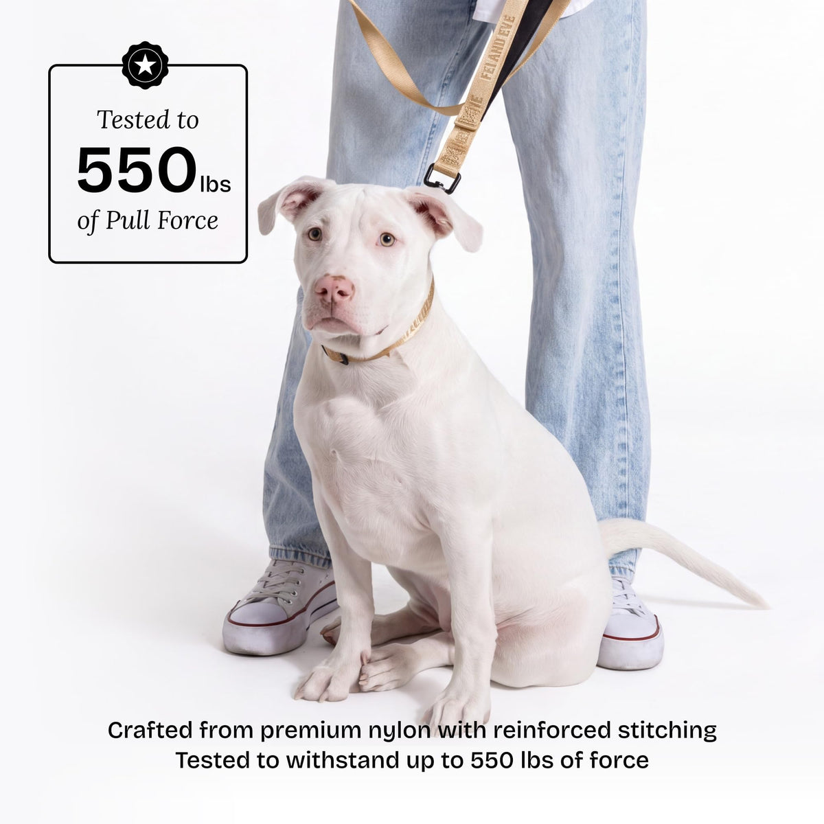 Fei and Eve Leash in 6FT, Champagne