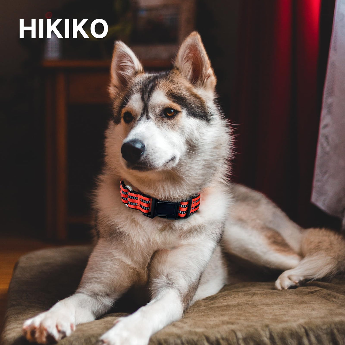Hikiko Animal Collar in Small, Tangerine