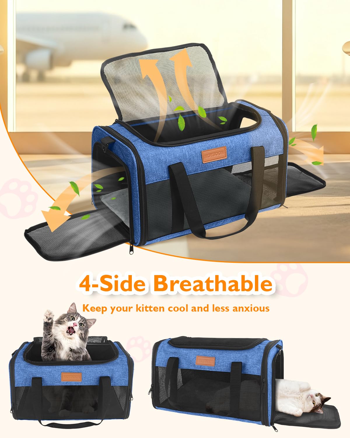 Petux Animal Carrier in 17.0"L x 11.0"W x 9.5"H, Blue