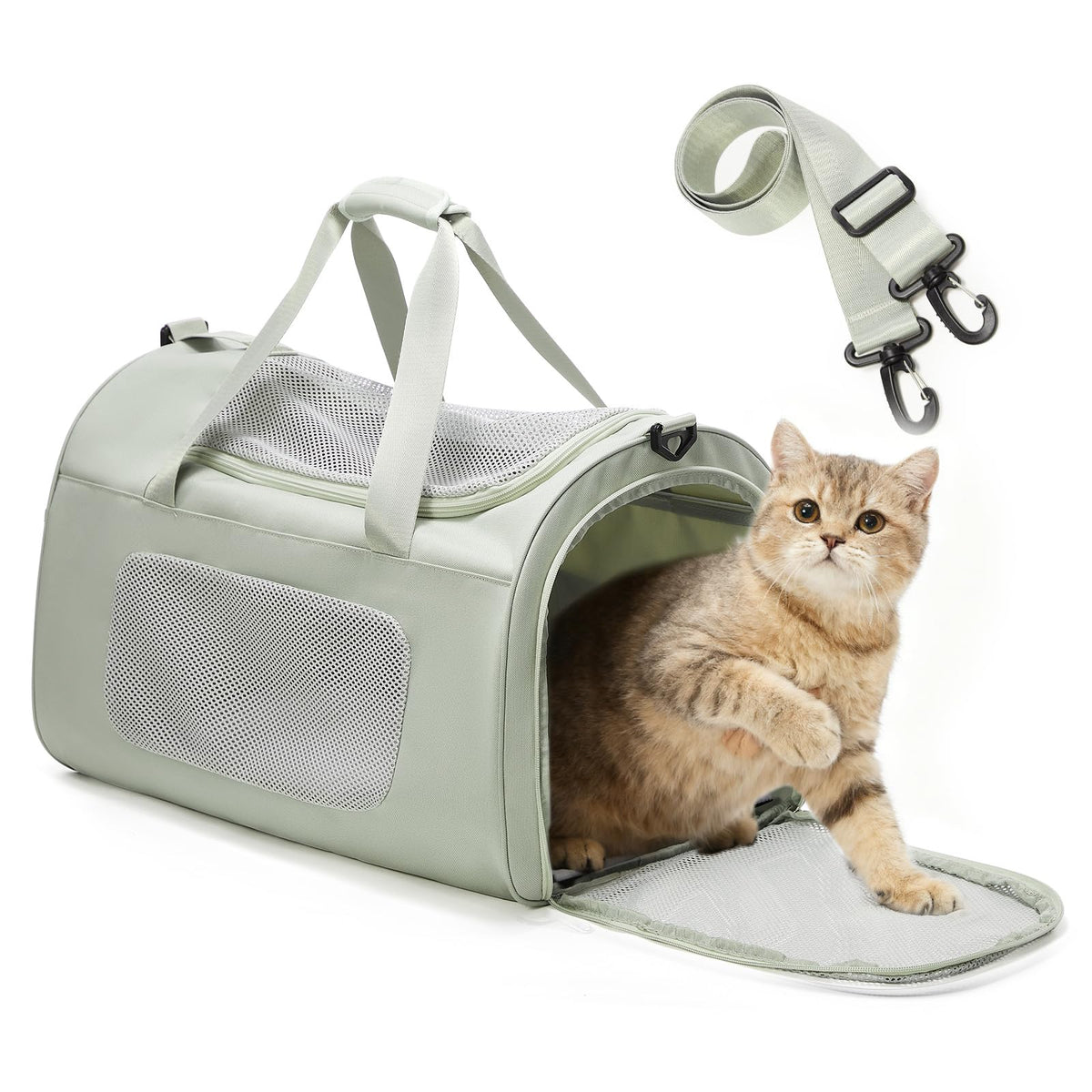 WEPLAN Animal Carrier in 17.7"L x 11.4"W x 12.5"H, A-Medium-Green