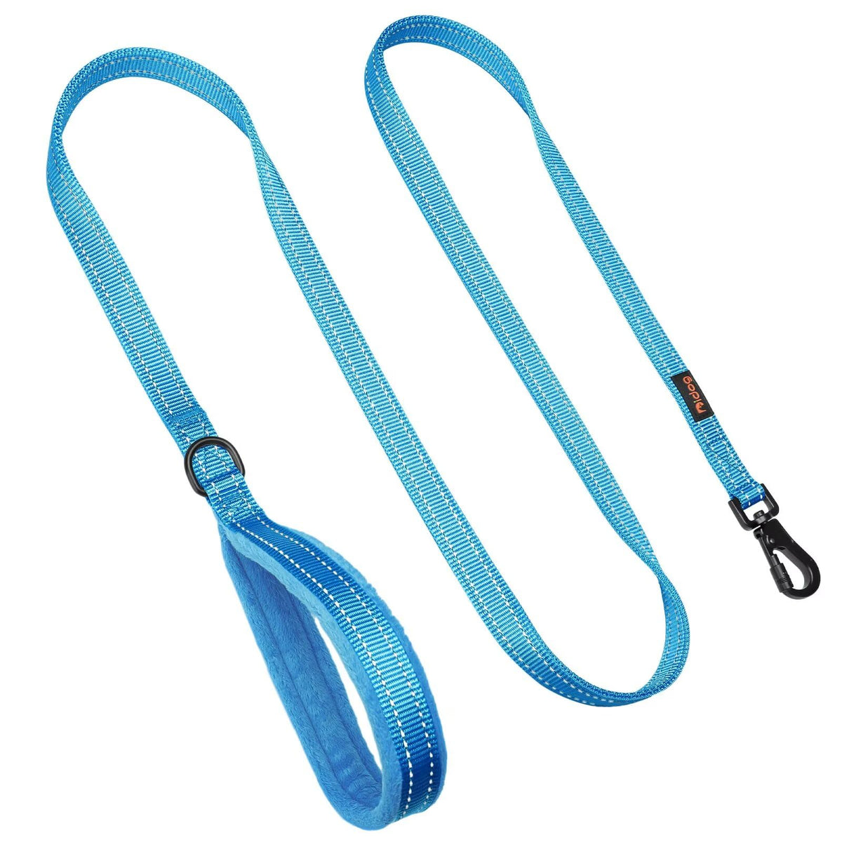 Didog Leash in 3/4''x 4 FT, Blue