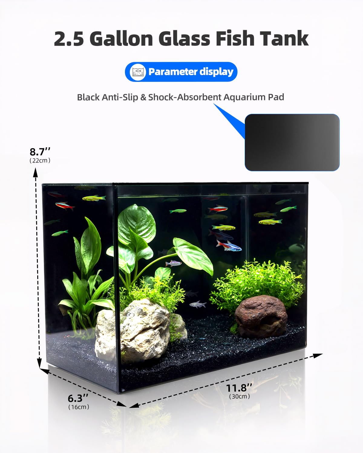 minilake Vivarium in 2.5 Gallon, Black