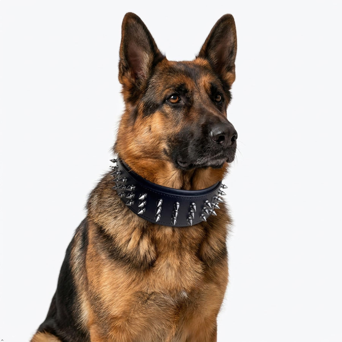 Molteriqo Animal Collar in XL-neck 49-57cm, Black