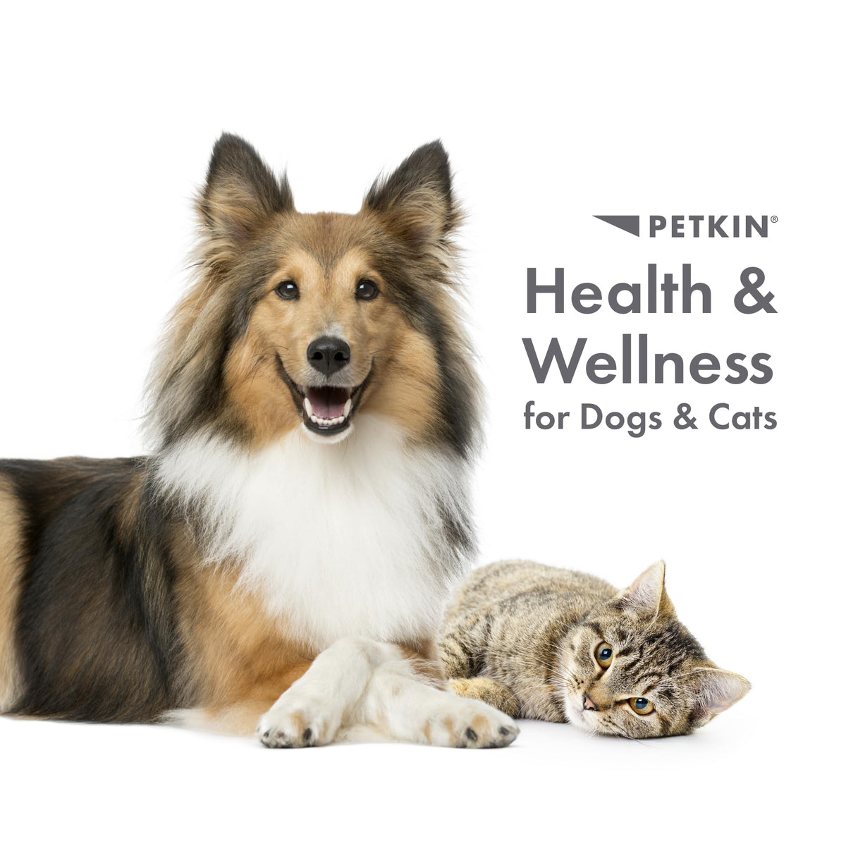 Petkin Pet Supplies in 100ct