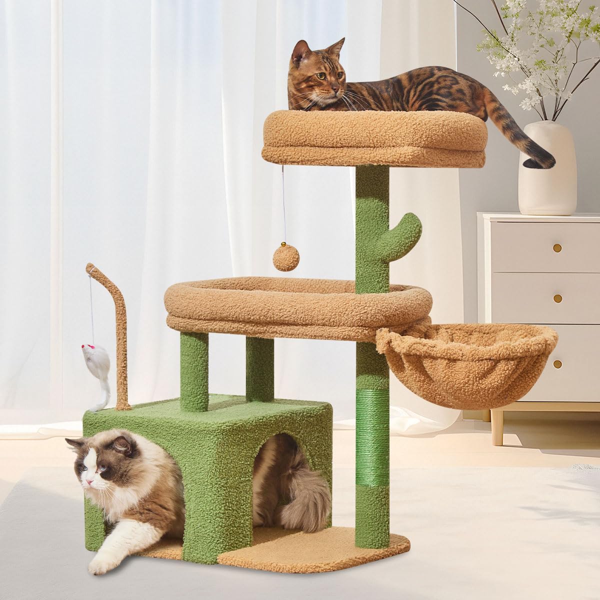 Taoqimiao Pet Activity Structure in L, Cactus