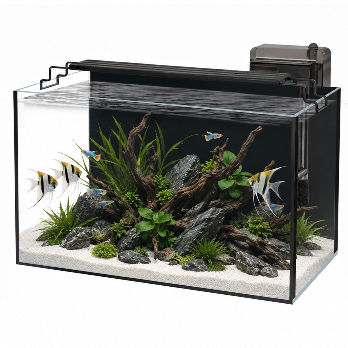 minilake Vivarium in 10 Gallon, Black