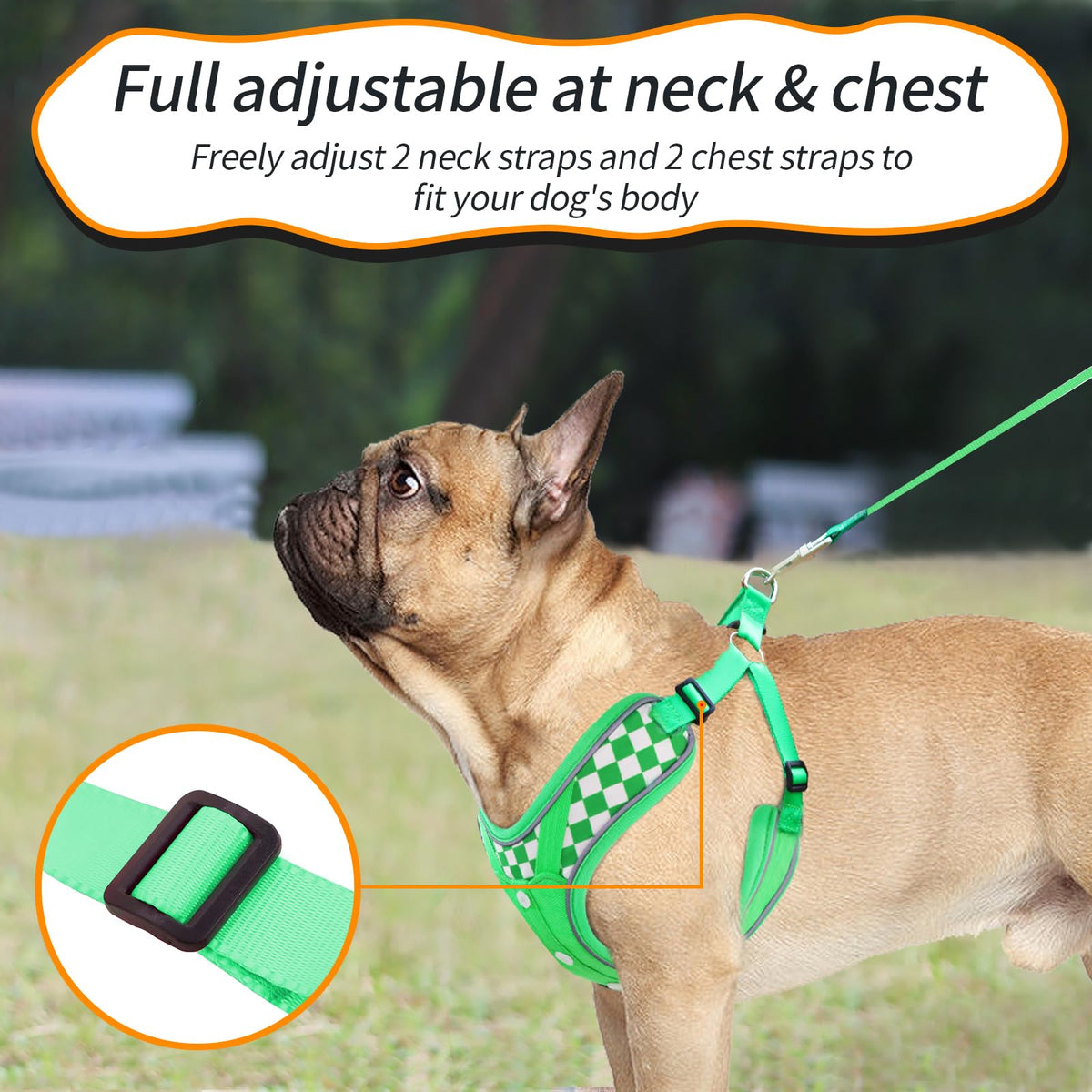 SAEGYPET Animal Harness in Medium, Green (denim)