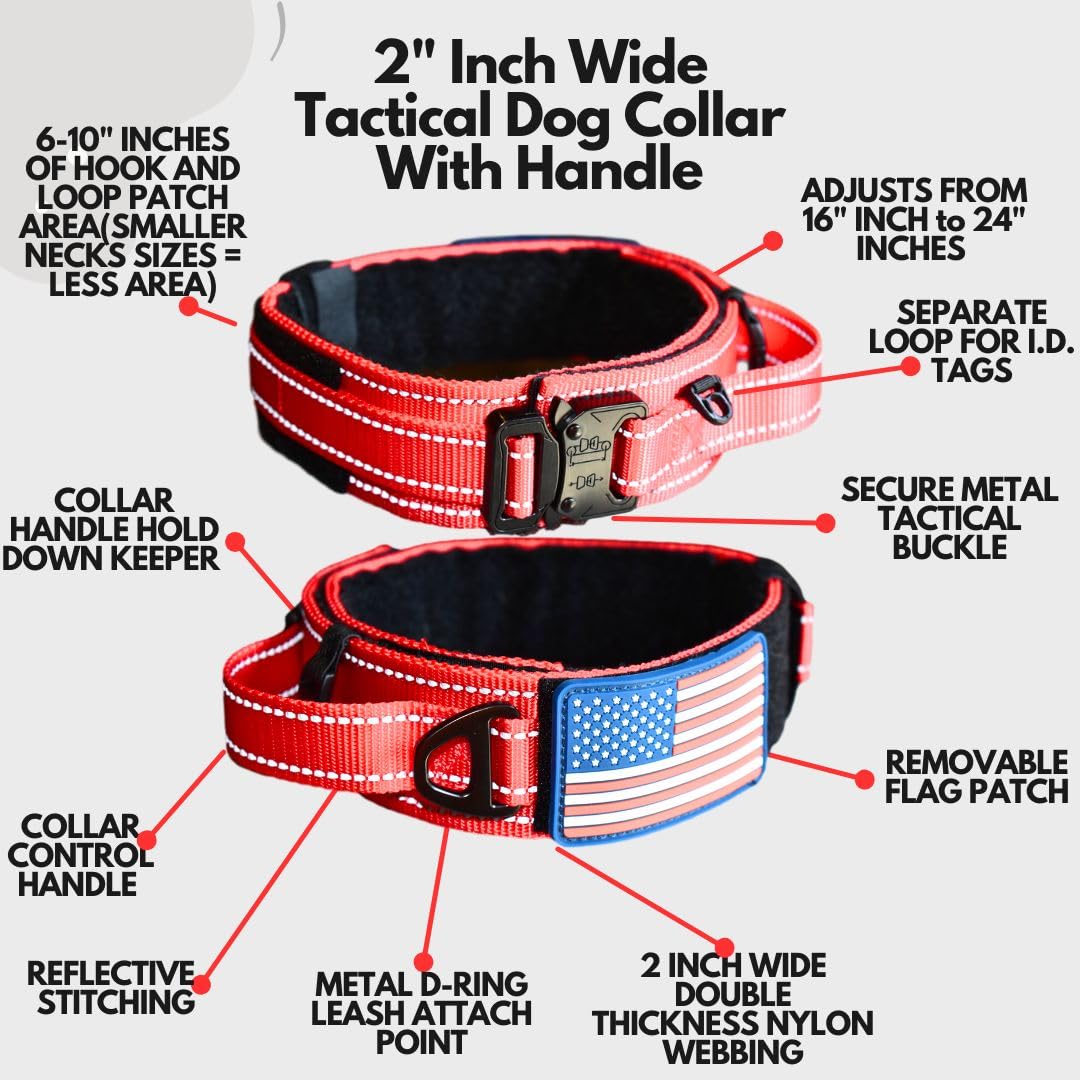 DEZIZEUSK9 Animal Collar in 16-25 INCH, ORANGE-COBVEL2
