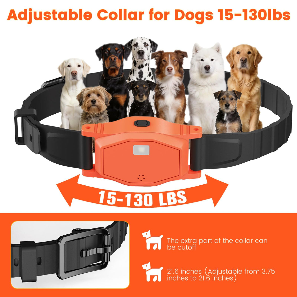 Pawton Animal Collar in Medium, Large, Orange for 1 Dog