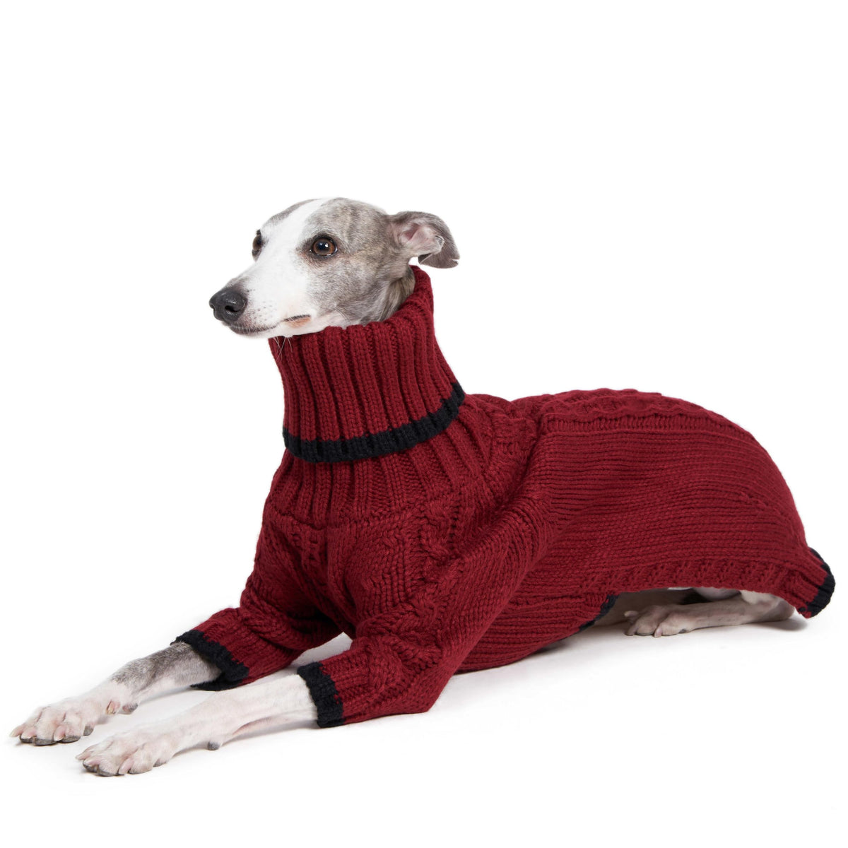 ESCCBOO Pet Apparel in Large, Red