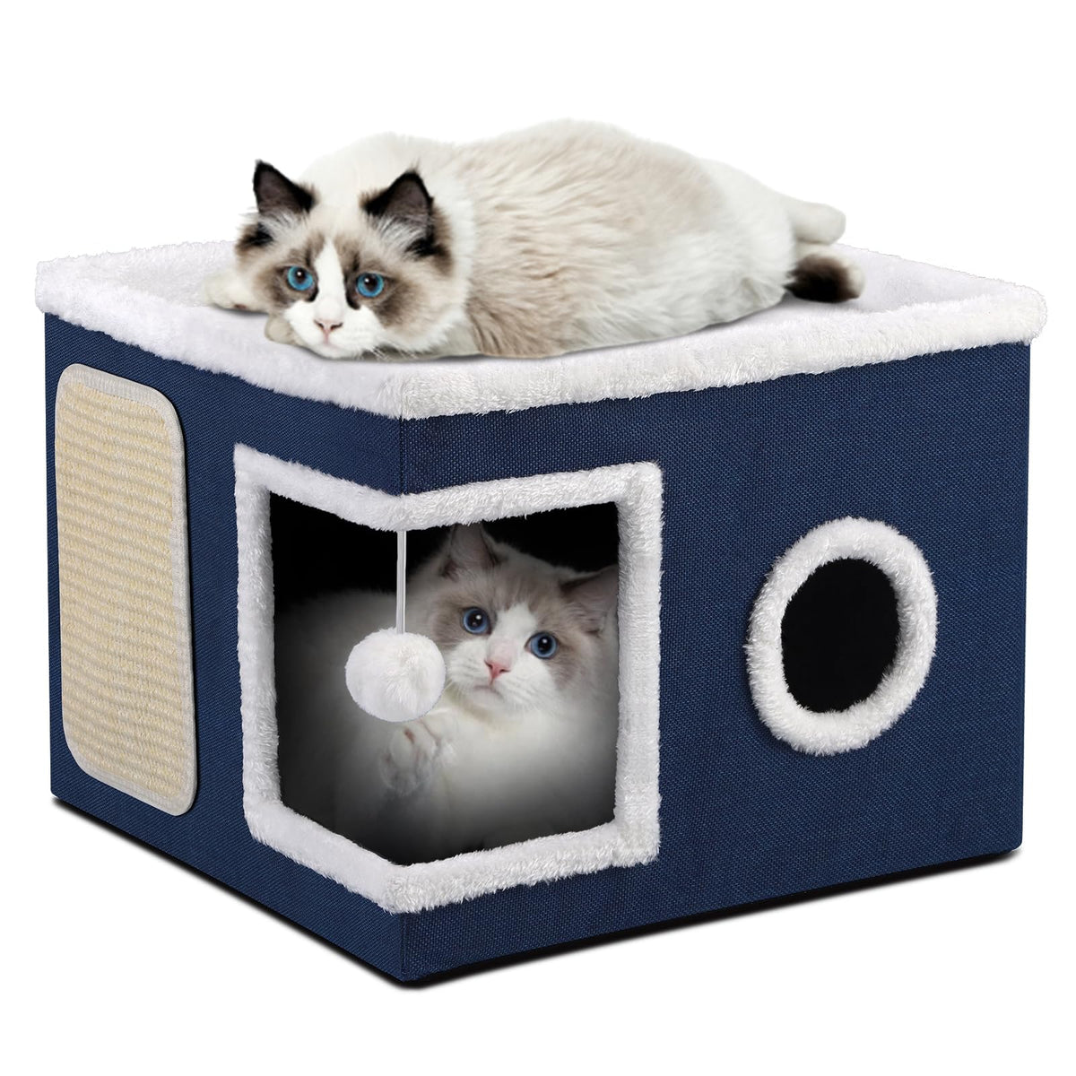 Shikha Animal Shelter in Large, Blue