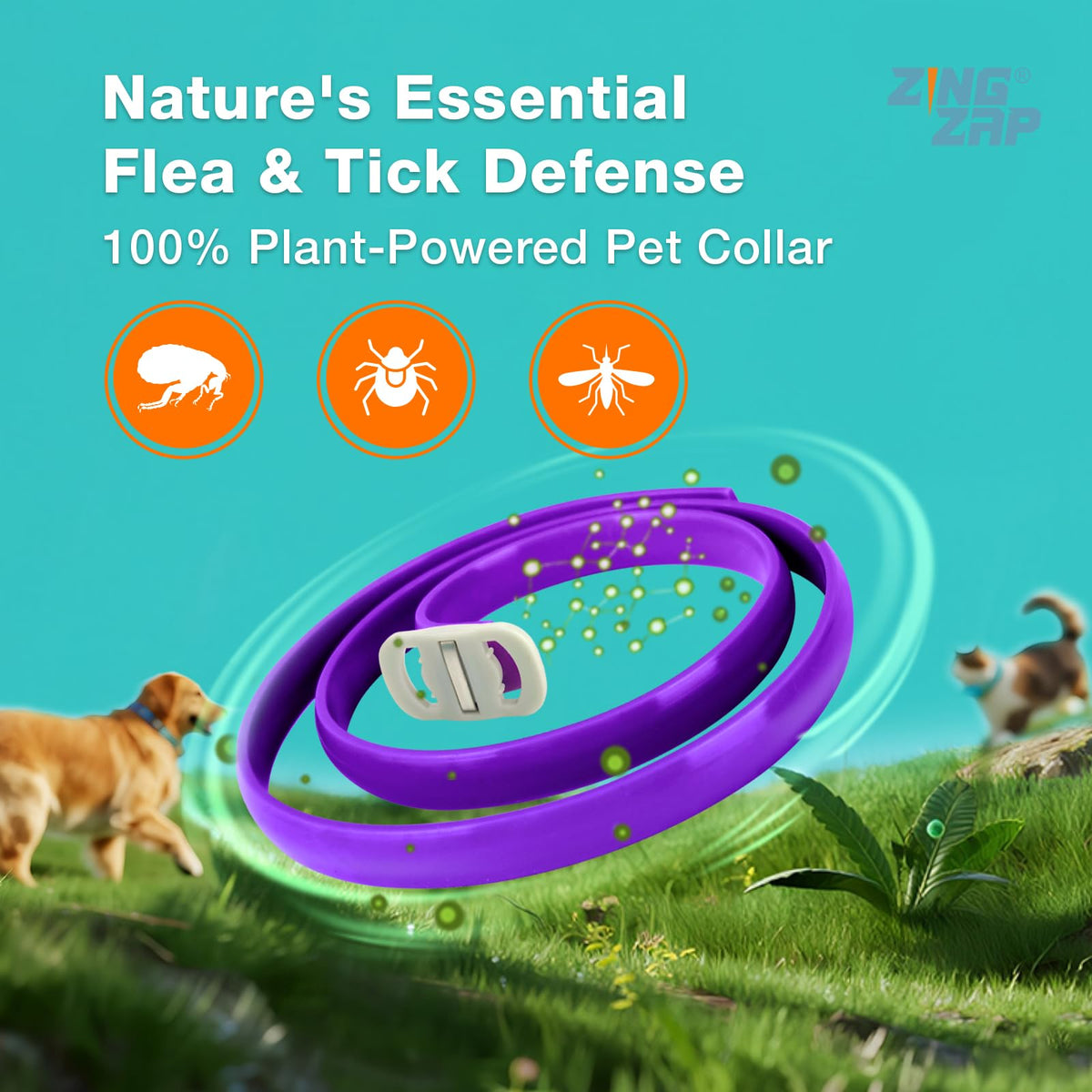 ZingZap Pet Pest Control in Purple
