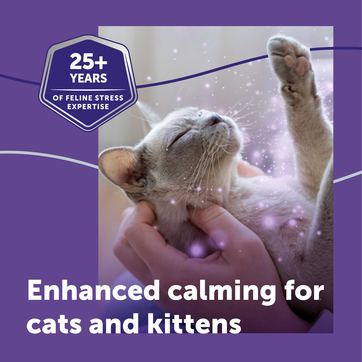 FELIWAY Pet Health Care in 12-Pack, Clear