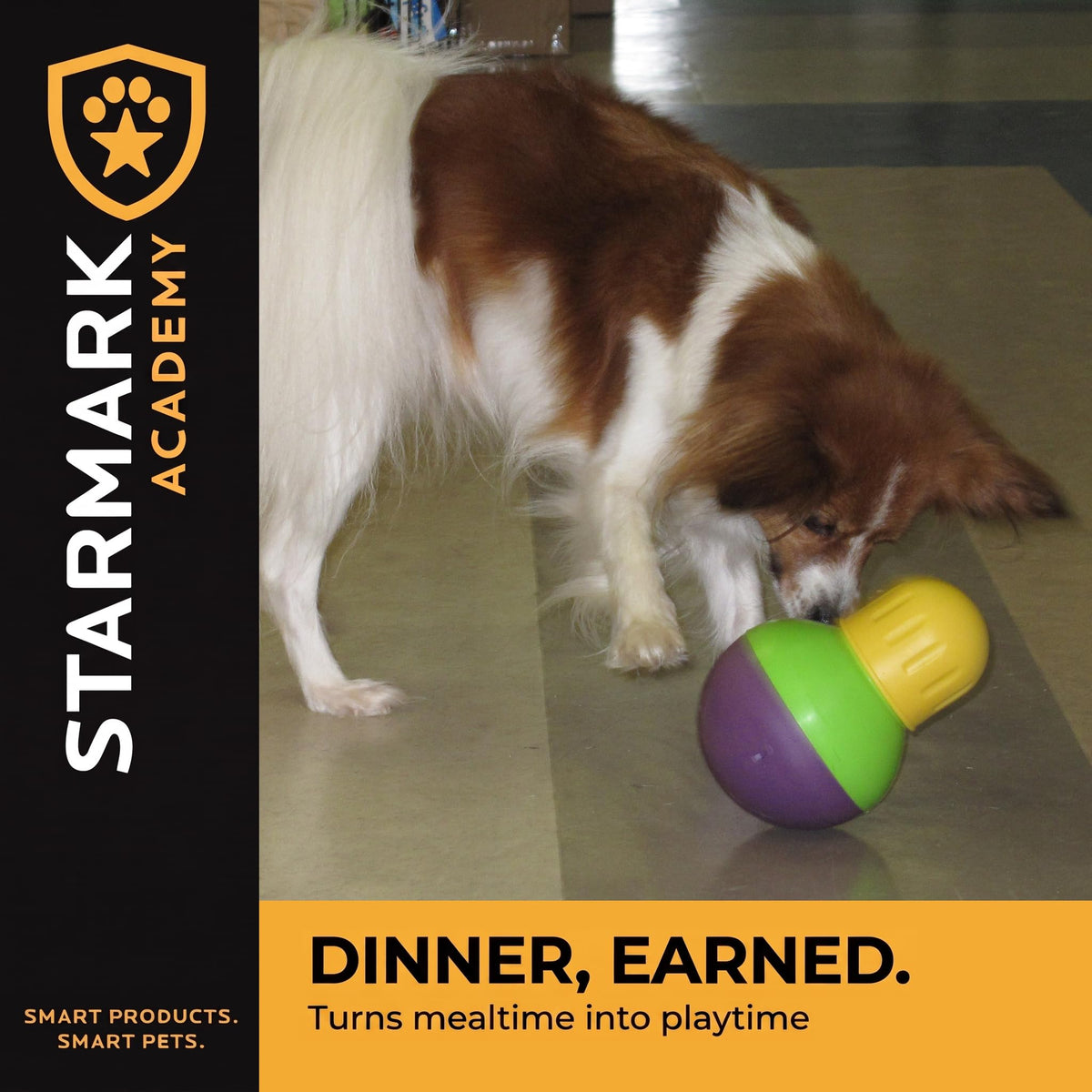 Starmark Pet Toy in Small, Green, purple, and yellow