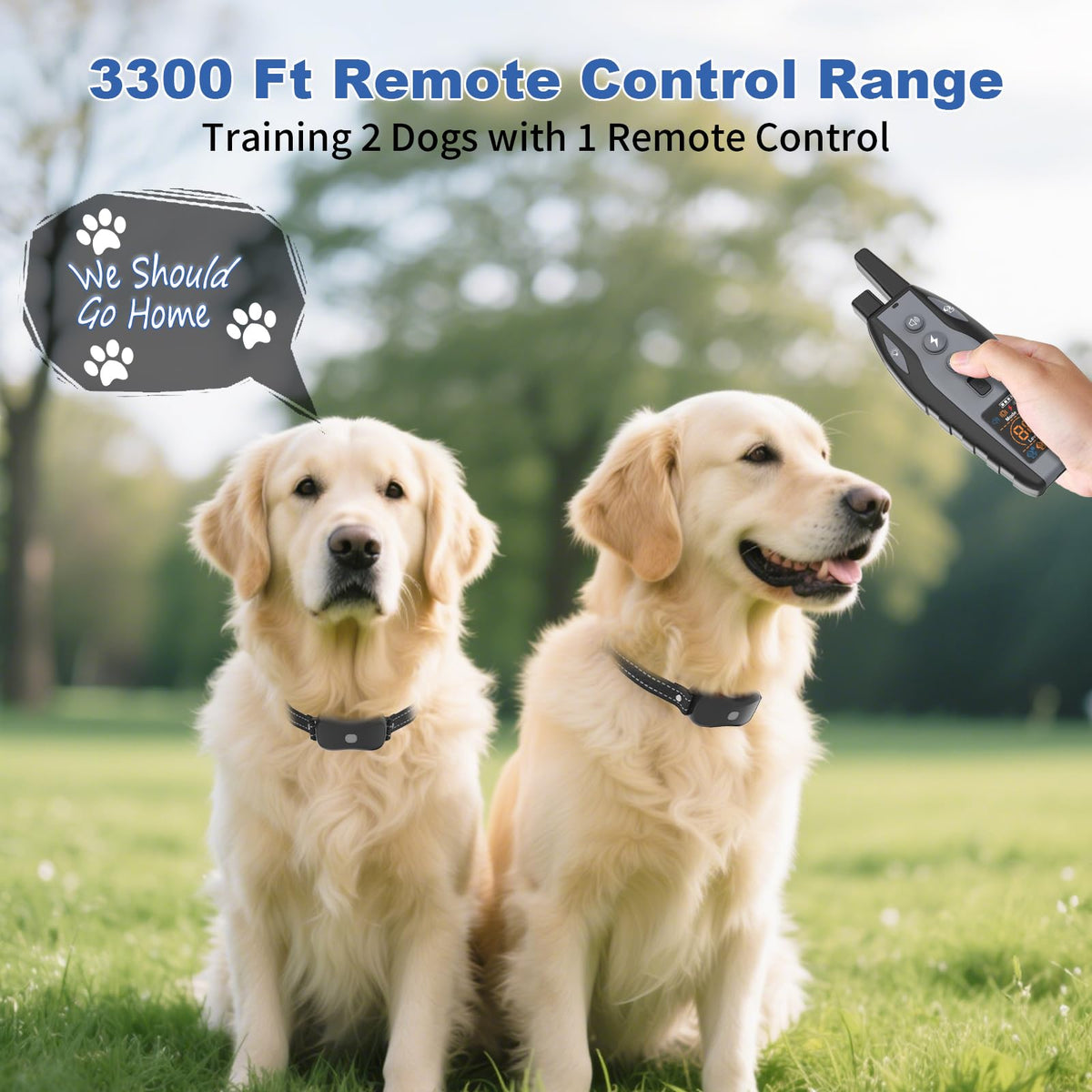BCPETMY Animal Collar in 1 Pack, Black-Grey