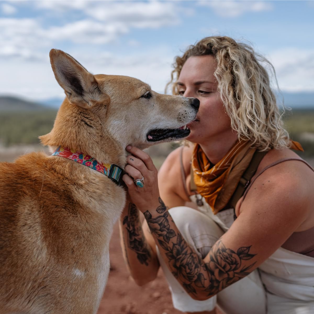 Wolfgang Man & Beast Animal Collar in Small (5/8 Inch x 8-12 Inch), PackLeader Print