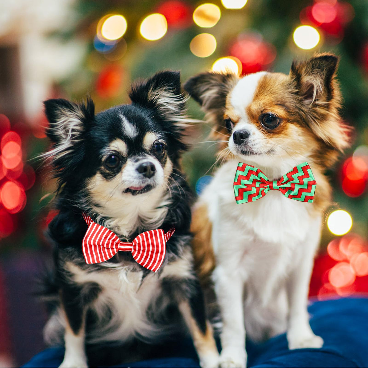 Segarty Pet Apparel in Adjustable, fits neck sizes 7.9''-17.9'', 30pcs-Happy Time
