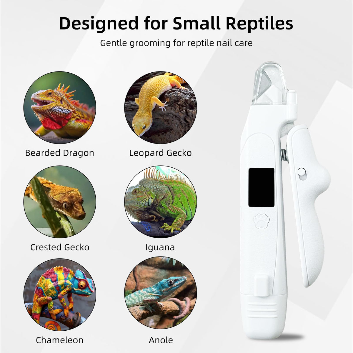Lyrzzey Pet Supplies in White