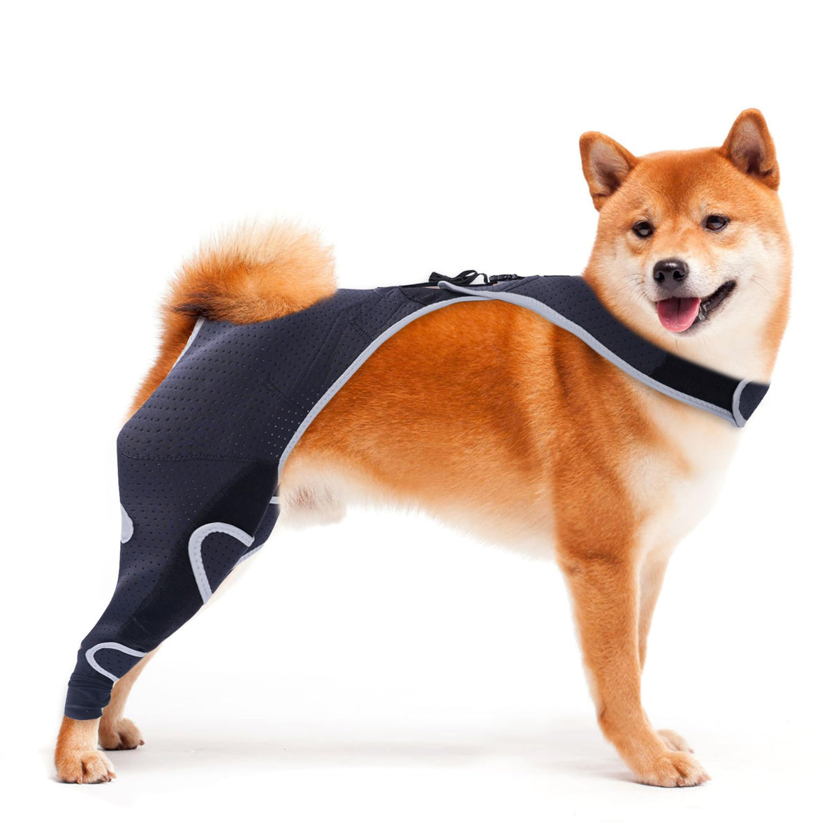 Furtent Pet Apparel in M, black