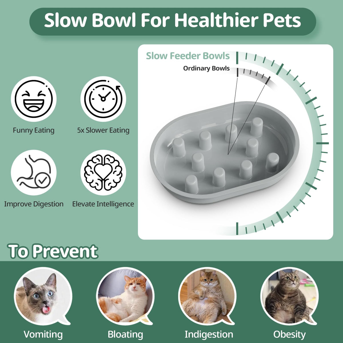 Baofum Pet Feeder in 2+1 Pack, Gray Bowls