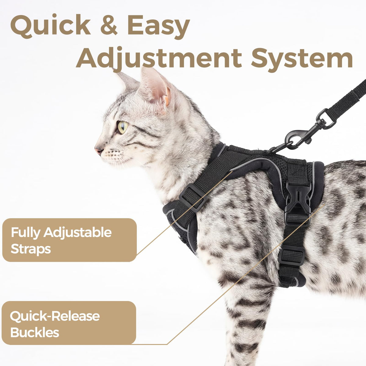 pangdi Animal Harness in Small, Black