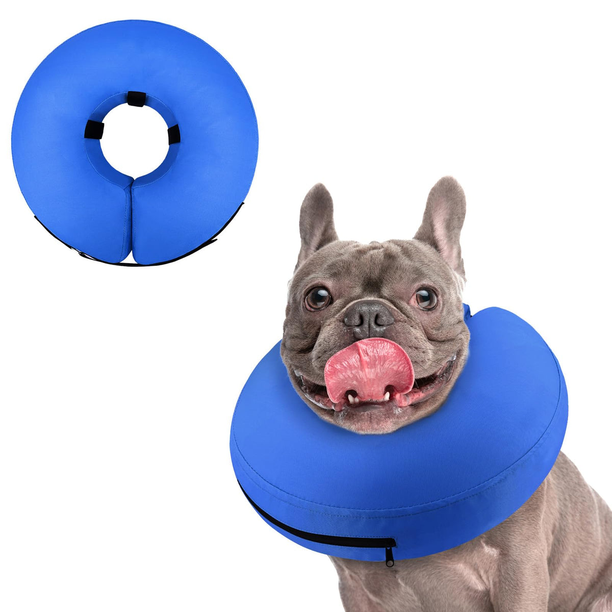 Supet Animal Recovery Collar Cone in M(Neck 9"-12.5"), Solid Blue