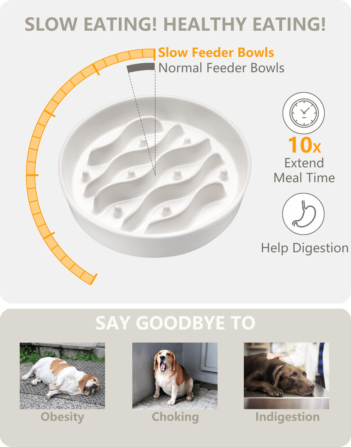 MOPANG Pet Feeder in 8 Inches, White