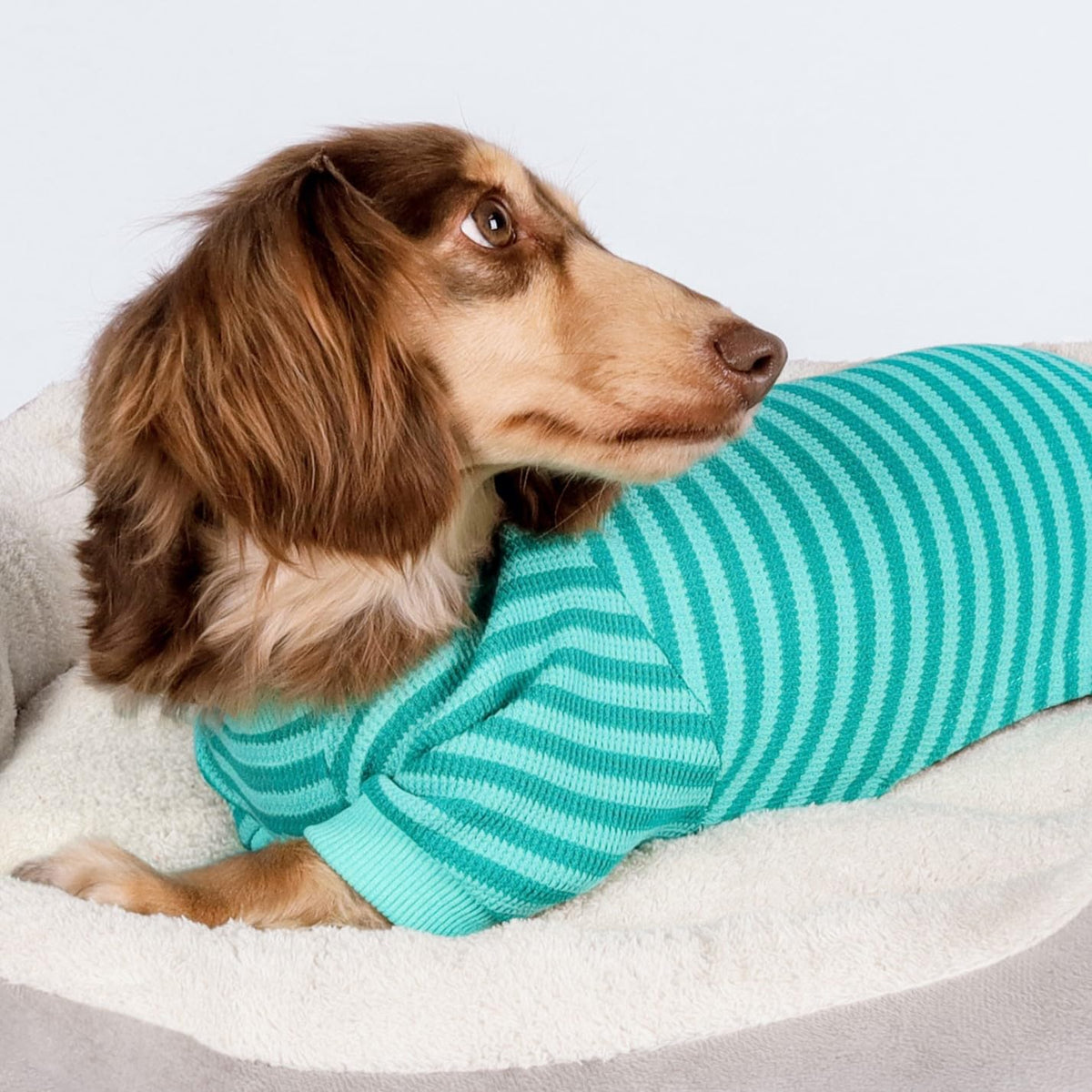 Fitwarm Pet Apparel in X-Small, DarkCyan