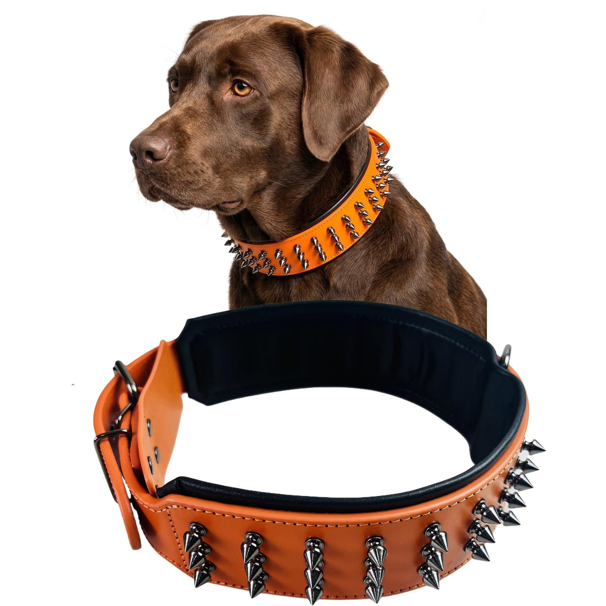 Molteriqo Animal Collar in XL-neck 49-57cm, Orange