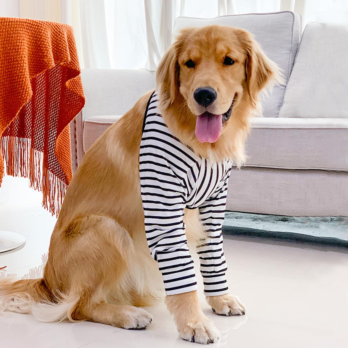 Harikaji Pet Supplies in L-Length 9'' Girth<8.2'', Stripe