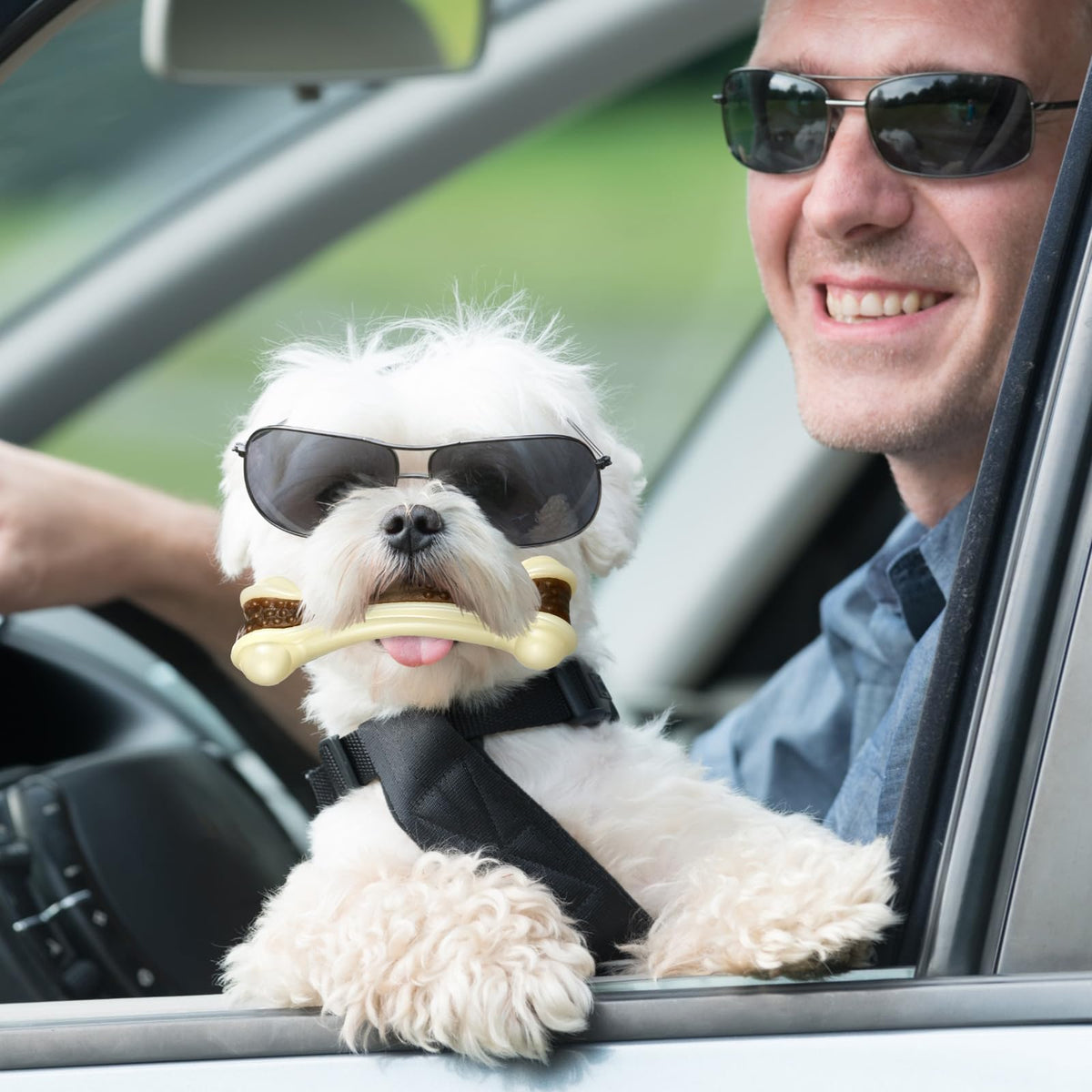 Sosation Pet Toy in Small/Medium/Large, as shown in the pictures