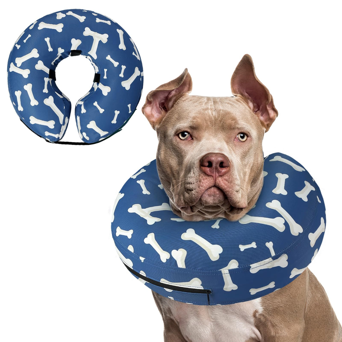 Supet Animal Recovery Collar Cone in XXL(Neck 18.5"-23.5"), T Bone Navy