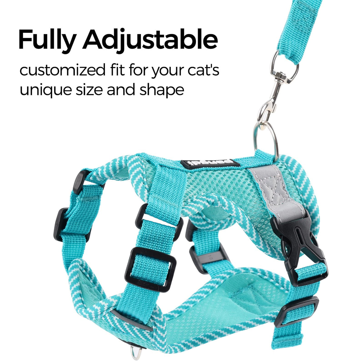 pangdi Pet Supplies in Small, Turquoise