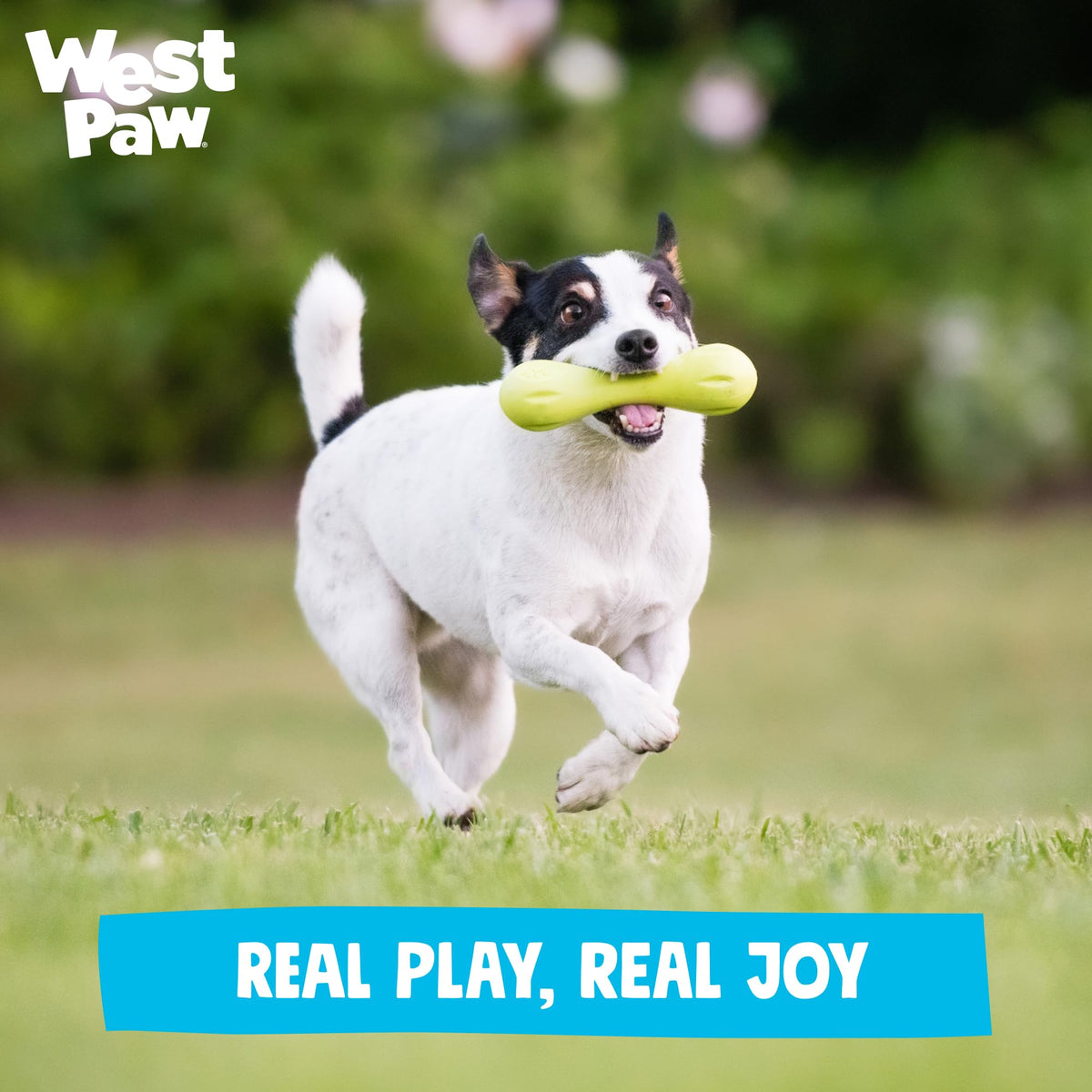 WEST PAW Pet Toy in Small, Aqua