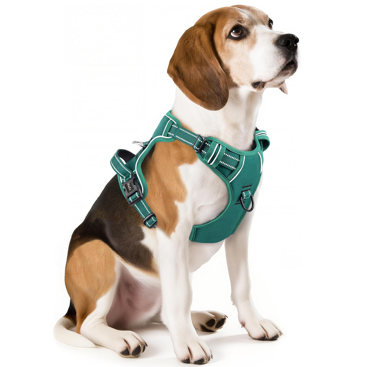 HEELE Animal Harness in M, Grass Green