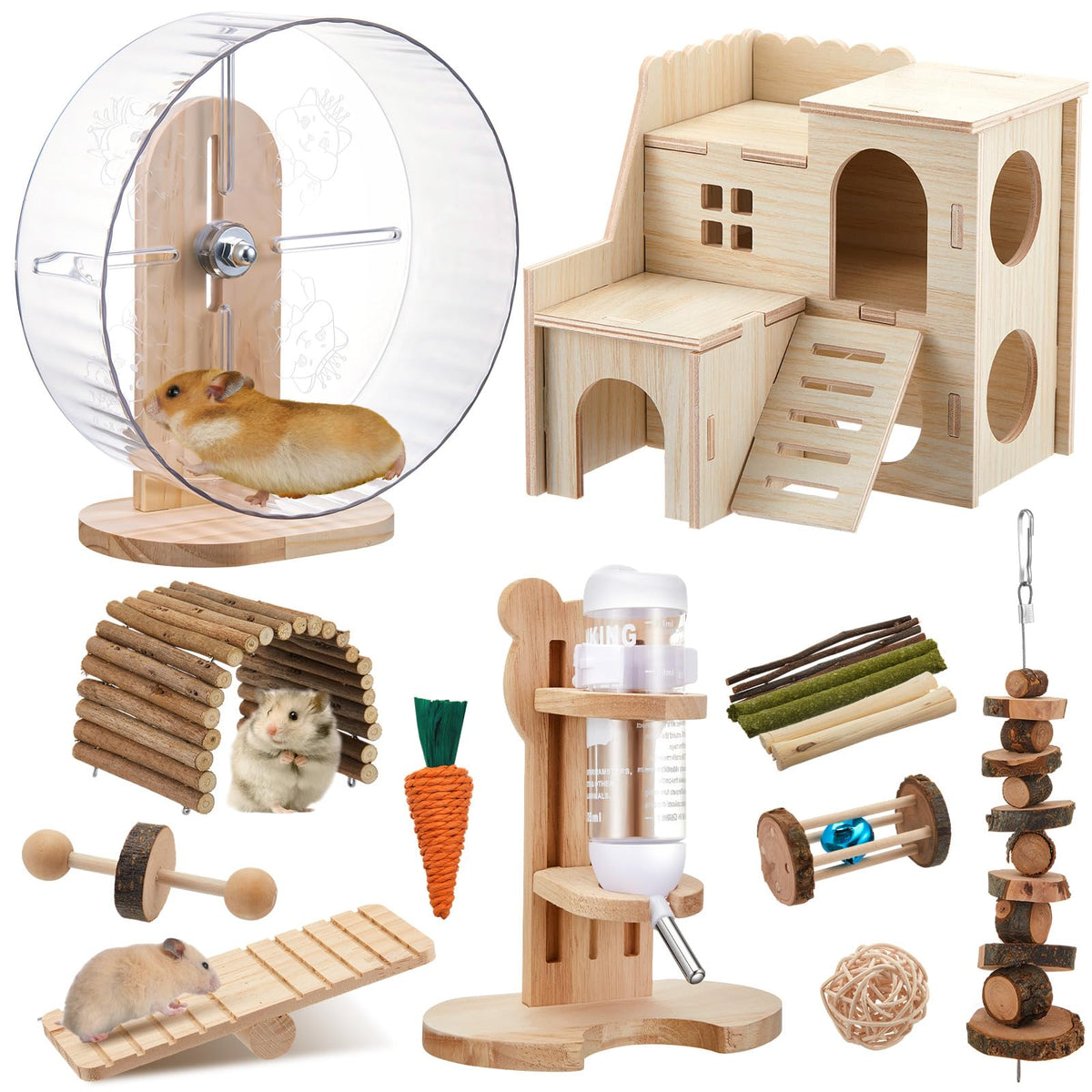 Sonwyoung Pet Activity Structure in natural
