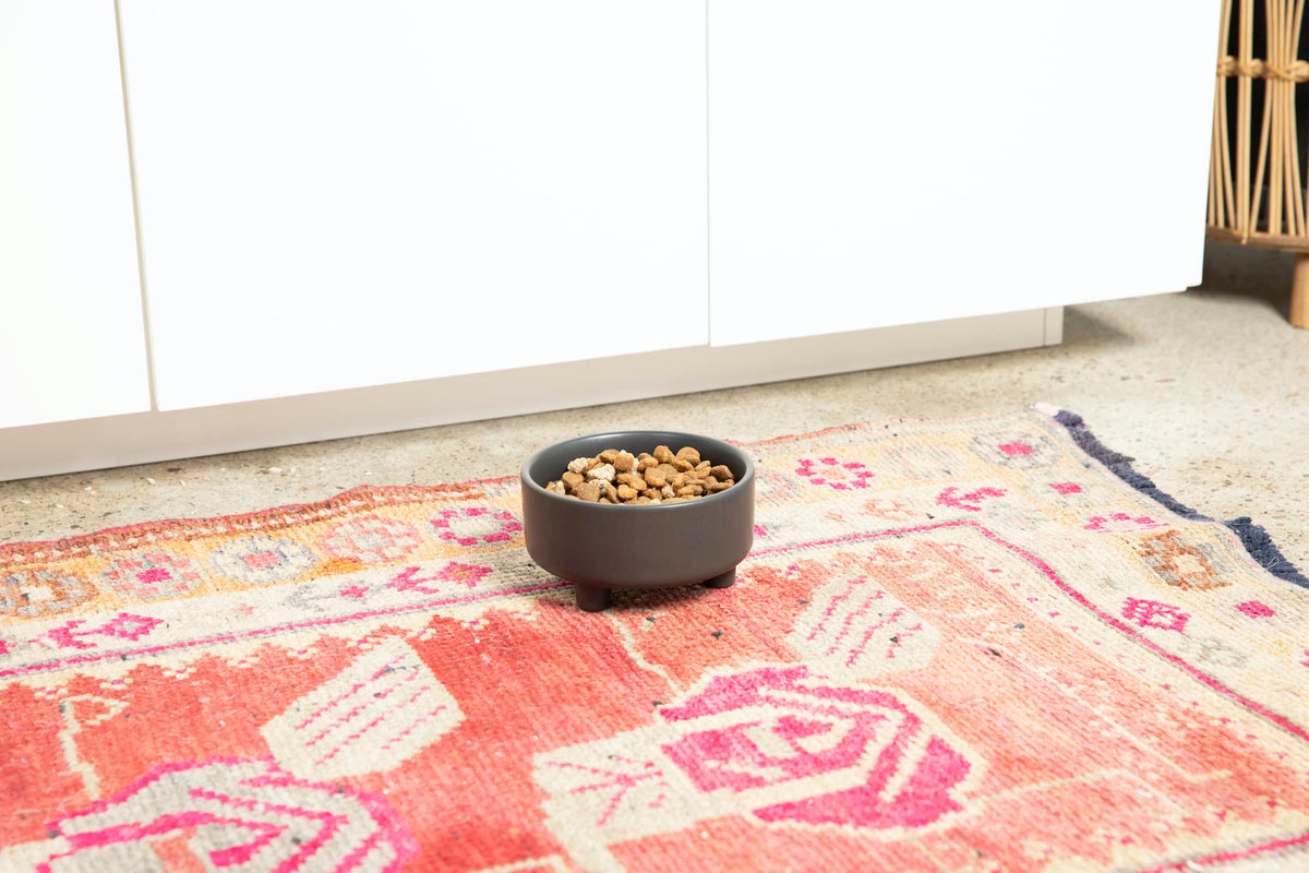 Waggo Pet Feeder in Small, Black