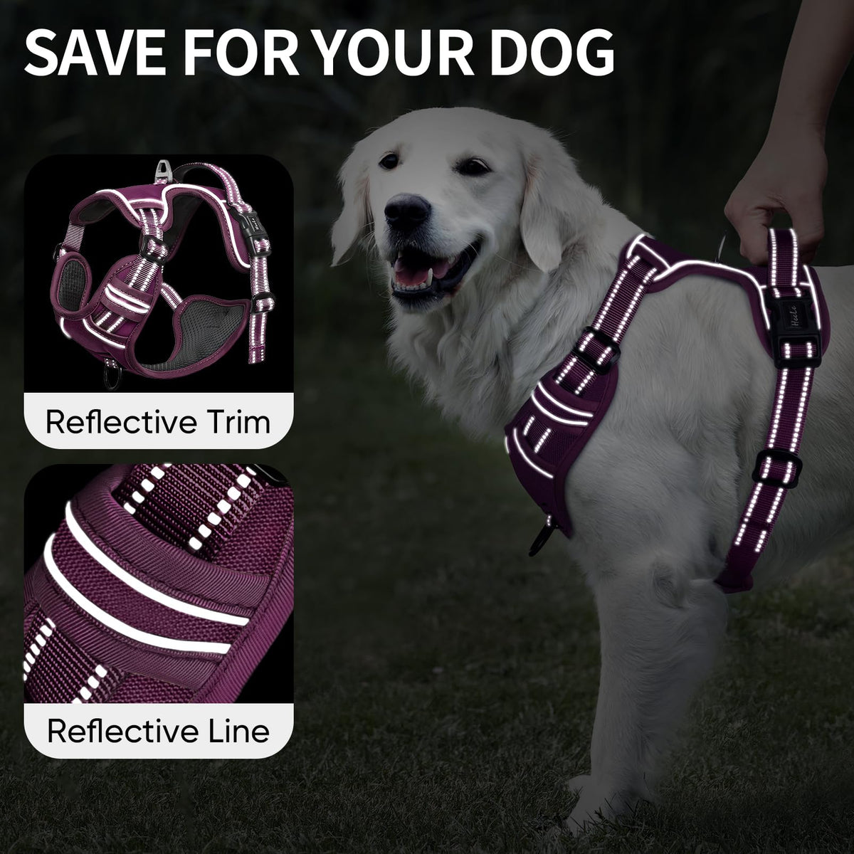 HEELE Animal Harness in S, Purple(Matching Trim)