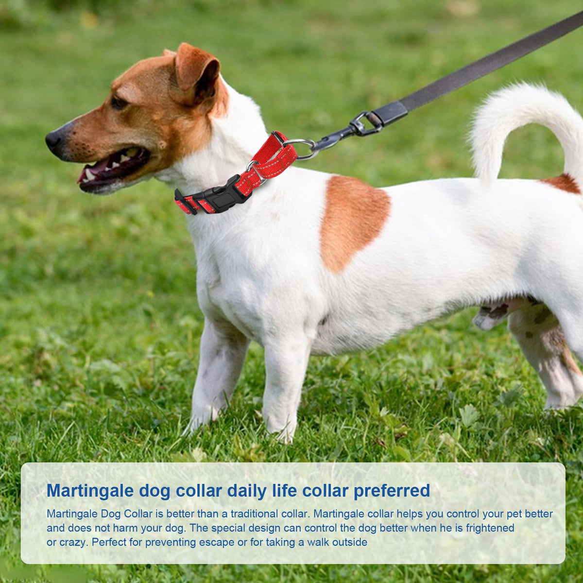 GDLKPS Animal Collar in XS:3/4" Wide for 11.5"-13.5" Neck, Red