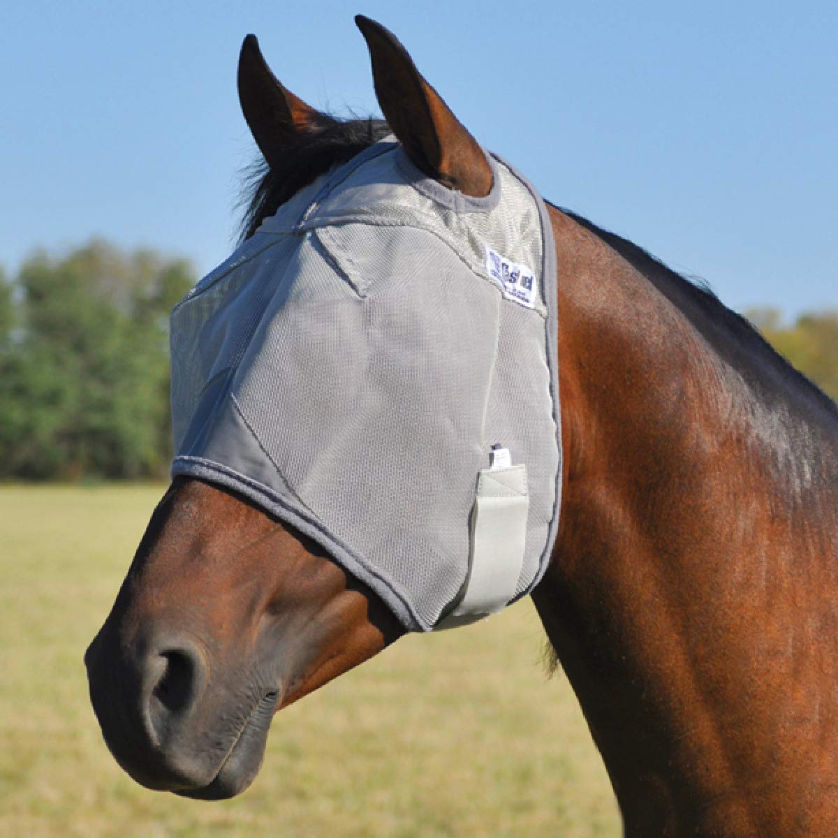 Cashel Pet Pest Control in XX-Small, Blue ZigZag