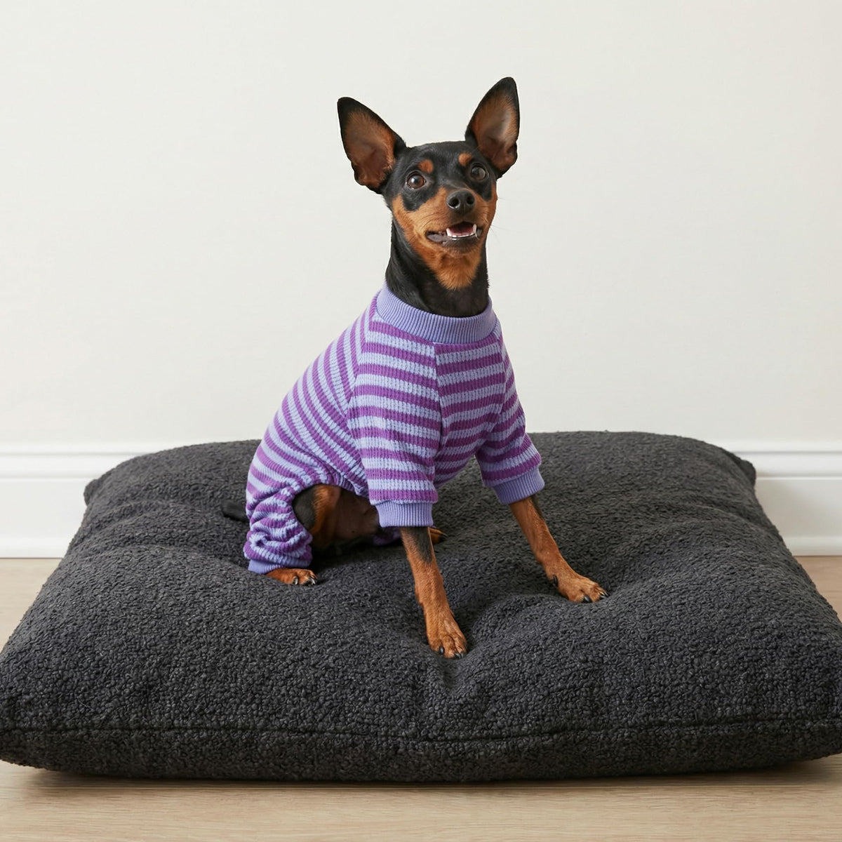 Fitwarm Pet Apparel in X-Small, DarkViolet