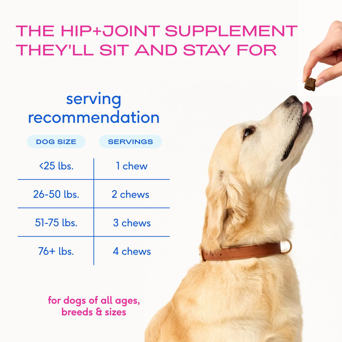 Native Pet Animal Nutritional Supplement in 60 Servings, Mobility Care