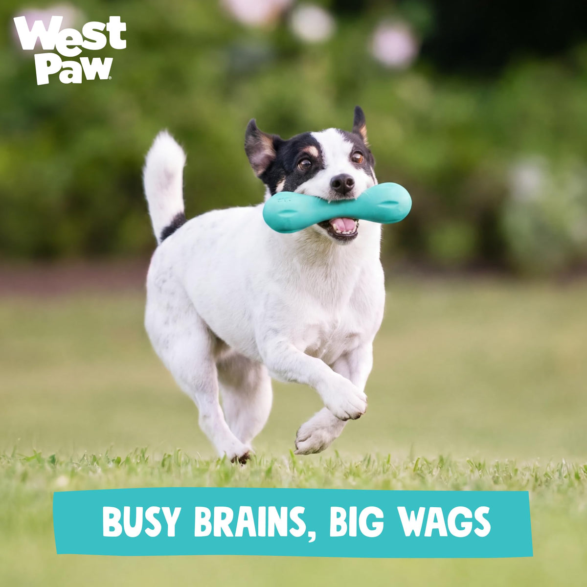 WEST PAW Pet Toy in Small, Geranium