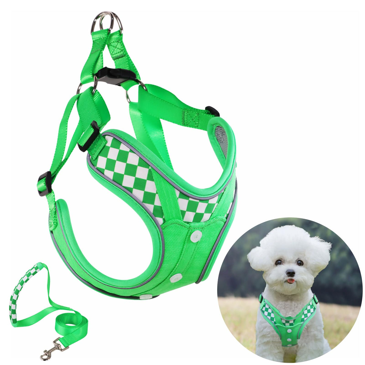 SAEGYPET Animal Harness in XS, Green (denim)