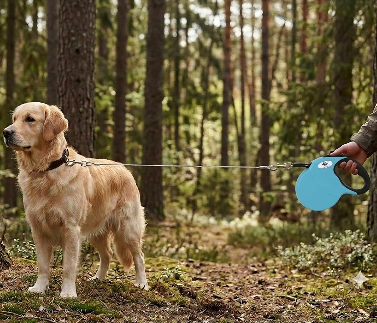 CROWN PAWS Leash in Large, Blue