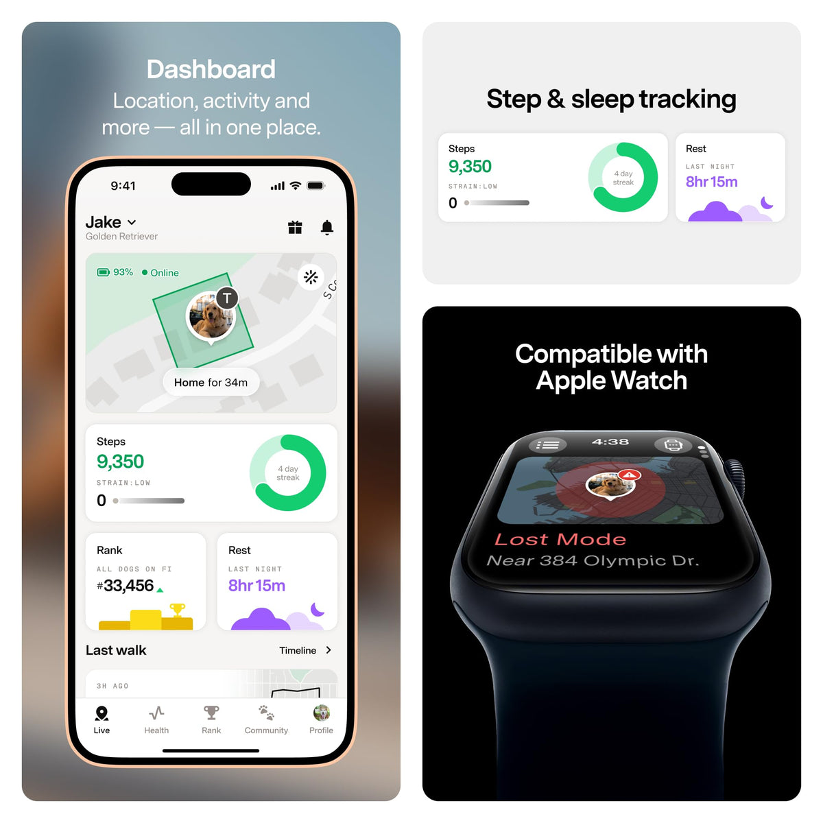 Fi Location Tracker in X-Small, Blue