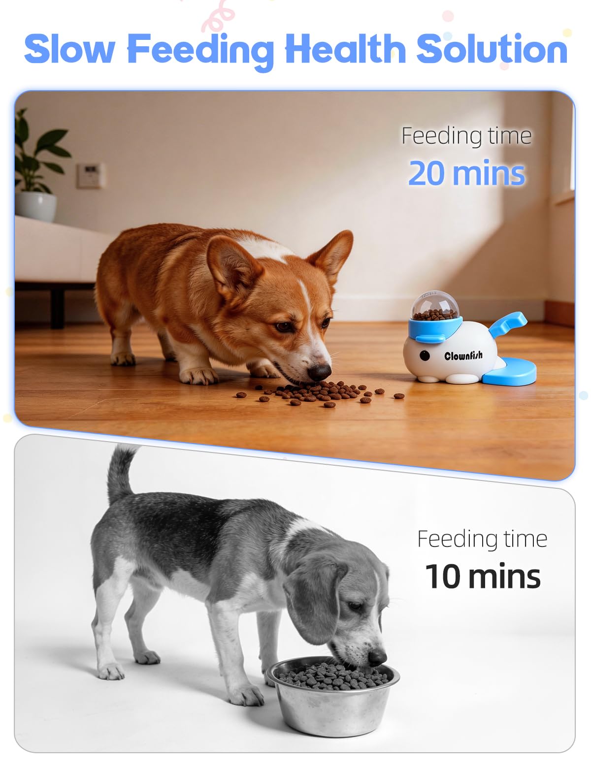 Generic Pet Feeder in blue