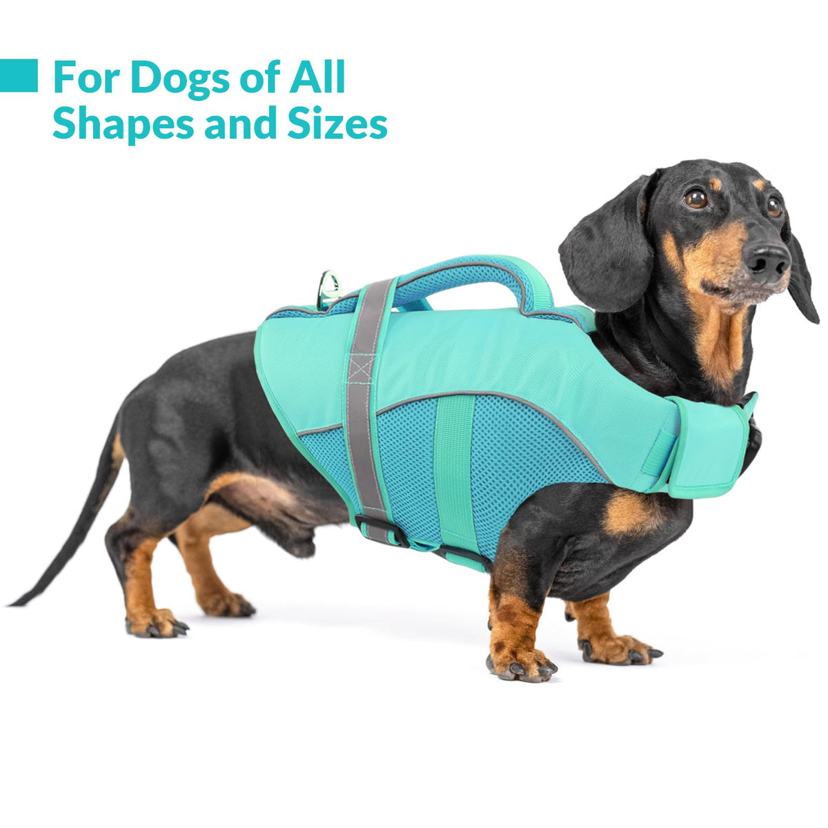 Queenmore Pet Apparel in X-Small, LightBlue